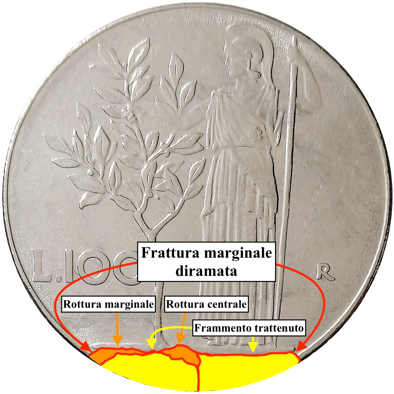 sena coins